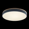 Потолочный светильник Loft IT AXEL 10001/36 Grey