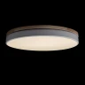Потолочный светильник Loft IT AXEL 10001/36 White