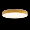 Потолочный светильник Loft IT AXEL 10001/36 Yellow