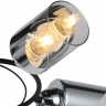 Люстра на штанге Illumico IL8208-4COU-79 BK CR