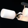 Потолочная люстра Illumico IL0809-4ASQ-25 BK AB NAPLES
