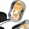 Люстра на штанге Illumico IL8208-6COU-79 BK CR