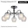 Потолочная люстра Omnilux Telti OML-53607-05