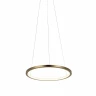Подвесной светодиодный светильник Loft IT Ring 10014S