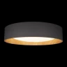 Потолочный светильник Loft IT Coin 10202 Grey