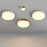 Потолочный светильник Maytoni Zon C032CL-45W2.7K-RD-W