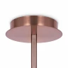 Люстра на штанге Maytoni Erich MOD221PL-10G