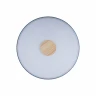 Потолочный светильник Loft IT AXEL 10003/24 Grey