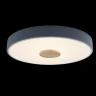 Потолочный светильник Loft IT AXEL 10003/24 Grey