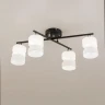 Потолочная люстра Citilux Нильс CL132145
