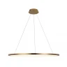 Подвесной светодиодный светильник Loft IT Ring 10014XL