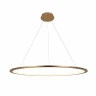 Подвесной светодиодный светильник Loft IT Ring 10014XL