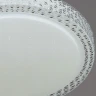 Потолочный светильник Reluce 97196-9.2-48WM