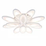 Потолочная люстра Escada Ecla 10242/12LED
