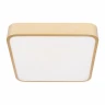 Потолочный светильник Loft IT Flims 10228/C