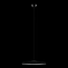 Подвесной светильник Loft IT Plato 10119 Black