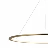 Подвесной светодиодный светильник Loft IT Ring 10014XXL
