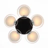 Потолочная люстра ST Luce Foresta SL483.402.05