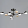 Люстра на штанге Reluce 03860-0.3-06 BK+WOOD GX53