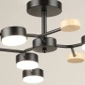Люстра на штанге Reluce 03860-0.3-06 BK+WOOD GX53