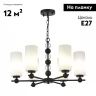 Подвесная люстра ST Luce Aurora SL2003.403.06