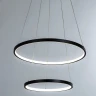 Подвесной светильник Arte Lamp Frodo A2197SP-2BK
