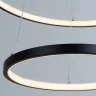 Подвесной светильник Arte Lamp Frodo A2197SP-2BK