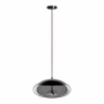 Подвесной светильник Loft IT 8134-D