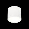Потолочный светильник ST Luce Rene ST113.542.09