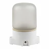 Потолочный светильник Uniel UWL-K01R 60W/E27 IP65 WHITE UL-00011471
