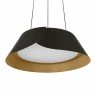 Подвесной светильник Loft IT Lane 10370P Black