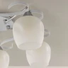 Потолочная люстра Citilux Сюзи CL171153