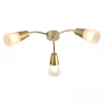 Потолочный светильник Escada Aquilegia 1100/3P Gold