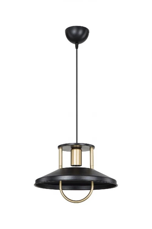 Подвесной светильник Toplight Magdalen TL1659H-01BK