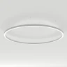 Подвесной светильник Arlight SP-Line-Hang-Arc-O3535-D3000-250W Day4000 034077(1)