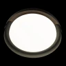 Потолочный светильник Loft IT Coin 10198 Black