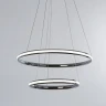 Подвесной светильник Arte Lamp Meridiana A2198SP-2CC