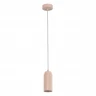 Подвесной светильник ST Luce Kendo SL1213.603.01