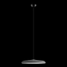 Подвесной светильник Loft IT Plato 10119 Grey