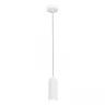Подвесной светильник ST Luce Kendo SL1213.503.01