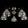 Потолочная люстра Illumico IL0251-5CSQ-79 BK AB