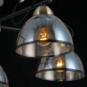 Потолочная люстра Illumico IL0251-5CSQ-79 BK AB