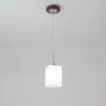 Подвесной светильник Citilux Оскар CL127111