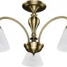 Потолочная люстра Myfar Anna MR1452-3C