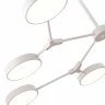 Потолочный светильник Evoluce Monta SLE6003-502-08