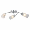 Потолочная люстра Vitaluce V2831-9/3PL
