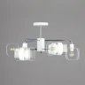 Люстра на штанге Citilux Бертон CL140160
