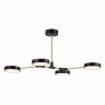 Потолочный светильник Evoluce Monta SLE6004-402-04