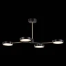 Потолочный светильник Evoluce Monta SLE6004-402-04