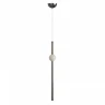 Подвесной светильник Loft IT Crescent 5053-C